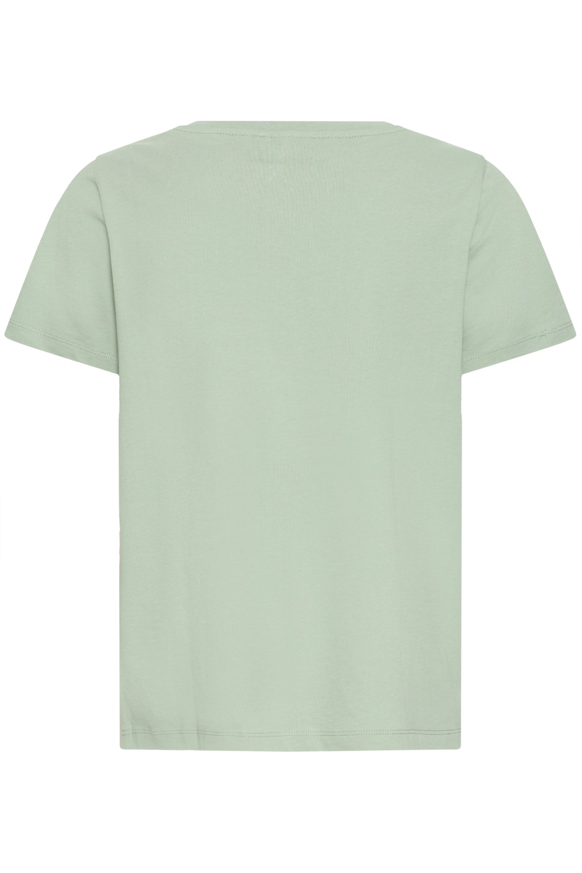 Fransa FRVIAS TEE 1, Iceberg Green mix